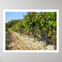 Harvest Time Print