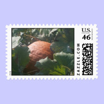 Harvest time Stamp stamps