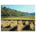 Harvesting in fall personalized flyer