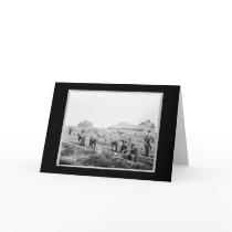 Harvesting Potatoes at Claflin University 1900 cards
