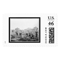 Harvesting Potatoes Claflin University 1900 postage by lc_vintagephotos Harvesting Potatoes Claflin University 1900 postage