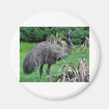 Harvey Magnets