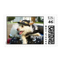 "Harvey" Poster Stamp