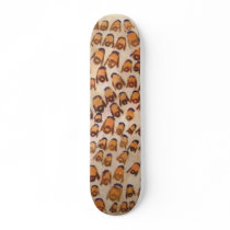 hassid nation skateboards