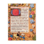 Hasting Book of Hours Postcard
