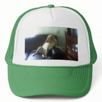 hats by Moondial hats