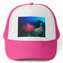 hat