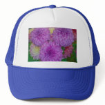 Hat, Dahlia # 147