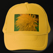 Hat, Dahlia # 175