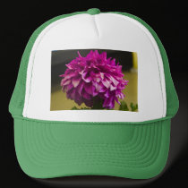 Hat, Dahlia # 194