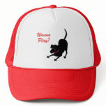 Hat for Dog Lovers