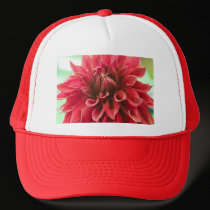 Hat, Red Dahlia # 174