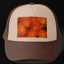 Hat, Strawflowers