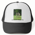 Hat Template