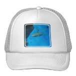 Hat Template - Customized