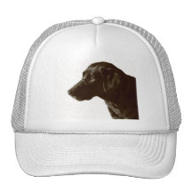 Hat Template - Customized
