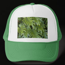 Hat, Tropical Vegetation # 45