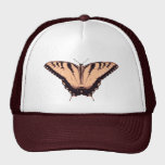 Hat with Orange Butterfly Illustration hats
