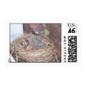 Hatched Birds in Nest postage