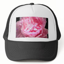 Hatched Pink Peony