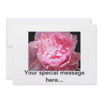 Hatched Pink Peony Announcement