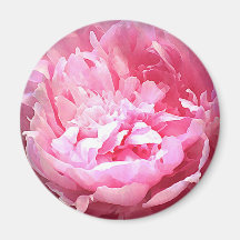 Hatched Pink Peony Refrigerator Magnet