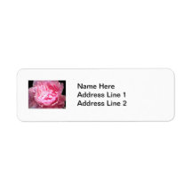 Hatched Pink Peony Return Address Labels