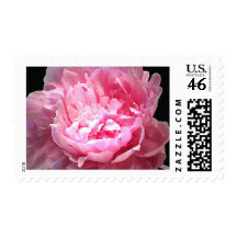 Hatched Pink Peony Stamp