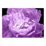 flowers, flower, purple, peony, peonies, business,