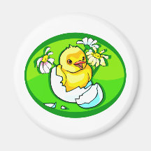 hatching chick daisies green oval magnets