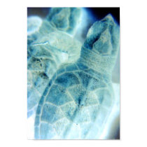 hatchlings glow posters by johncleck hatchlings glow posters