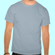 HATE is NOT an AMERICAN VALUE T-shirts