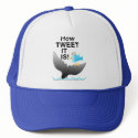 Hats & Caps - How TWEET It Is!