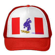 HATS - SKATEBOARDING HATS - PRO SHREDDER EMBLEM