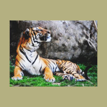 Haughty canvas prints