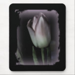 Haunted Beauty mousepads