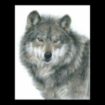 "Haunted Eyes" Wolf Poster by Artist Carla Kurt posters