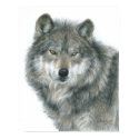 "Haunted Eyes" Wolf Poster by Artist Carla Kurt posters