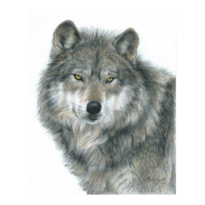"Haunted Eyes" Wolf Poster by Artist Carla Kurt by CarlaKurtArt