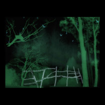 Haunted Forest posters