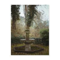 Haunted Garden Postcard