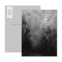 Haunted Halloween Sky with Ravens Postcard