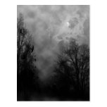 Haunted Halloween Sky with Ravens Postcard Postcard