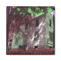 Haunted House Items Magnets