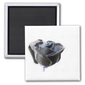 Haunted looking black white grey rose image magnet