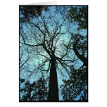 Haunted Woods Halloween Card
