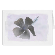 Haunting Image of a Hibiscus flower card