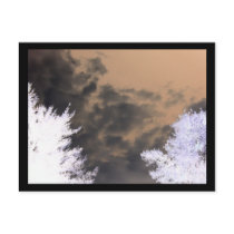 Haunting Postcard postcards