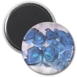 Hauntingly beautiful blue tinged roses magnet