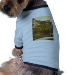 Hausgrund, Oybin, Zittau, Saxony, Germany classic Pet Tee Shirt